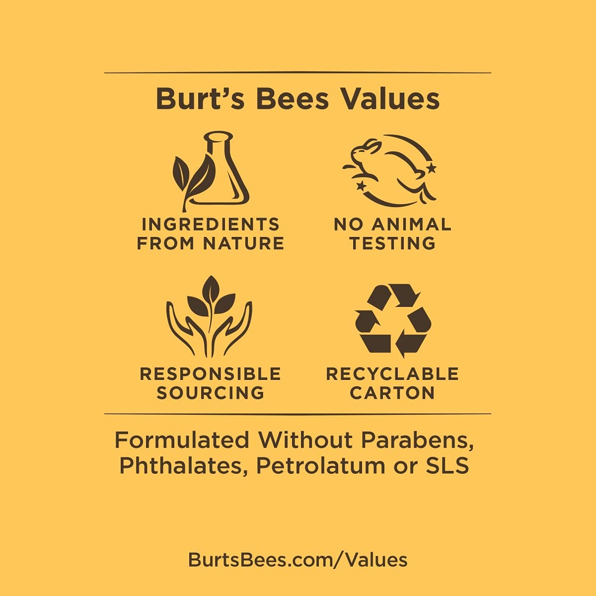 Burt's Bees Lip Balm, Moisturizing Lip Care, for All Day Hydration, 100% Natural, Mango (2 Pack)