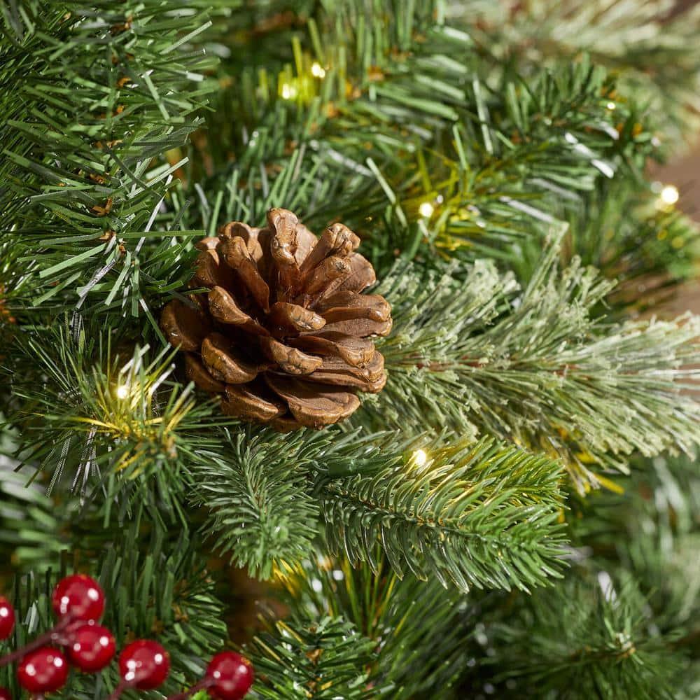 7.5 ft. WestFir Christmas Tree
