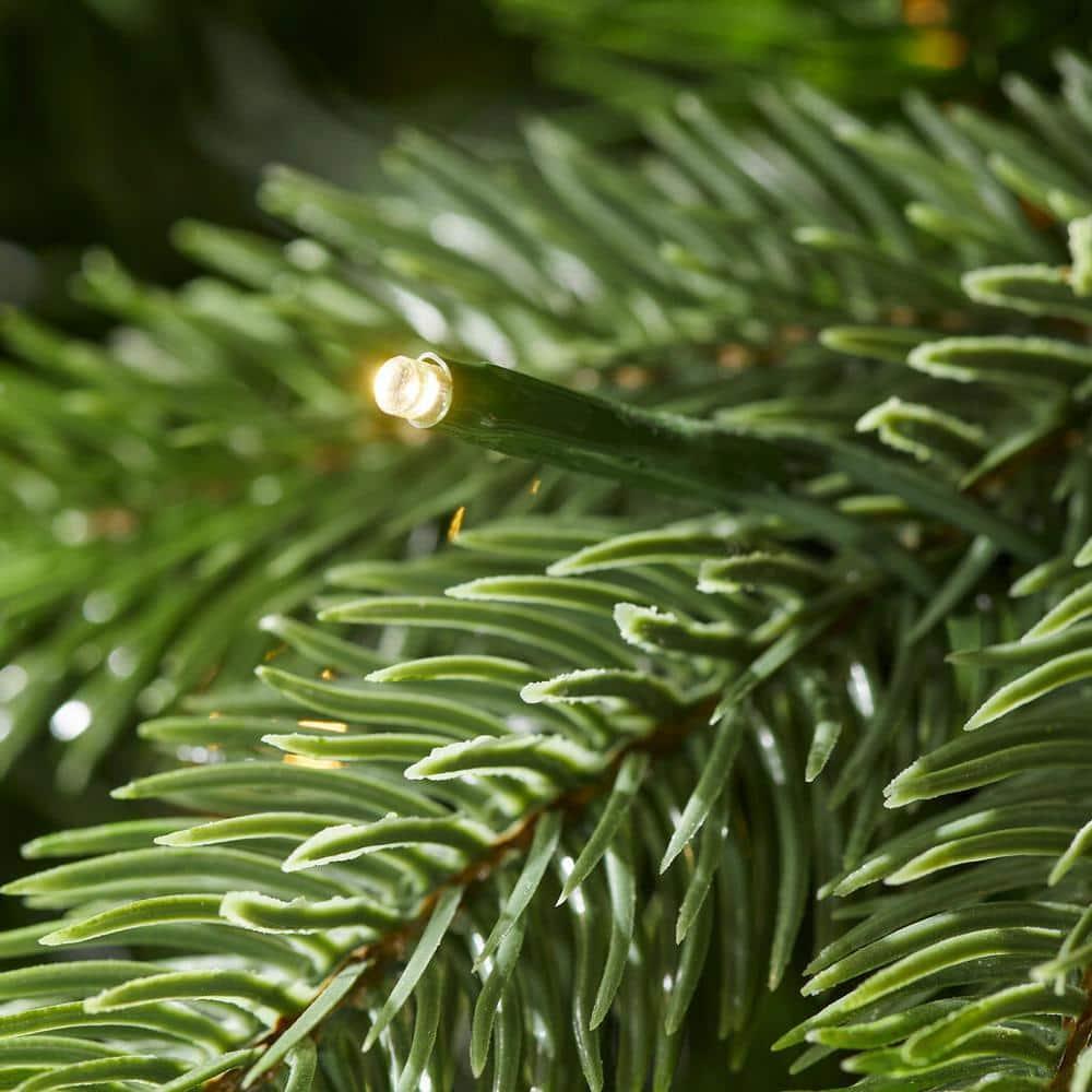 7.5 ft. WestFir Christmas Tree