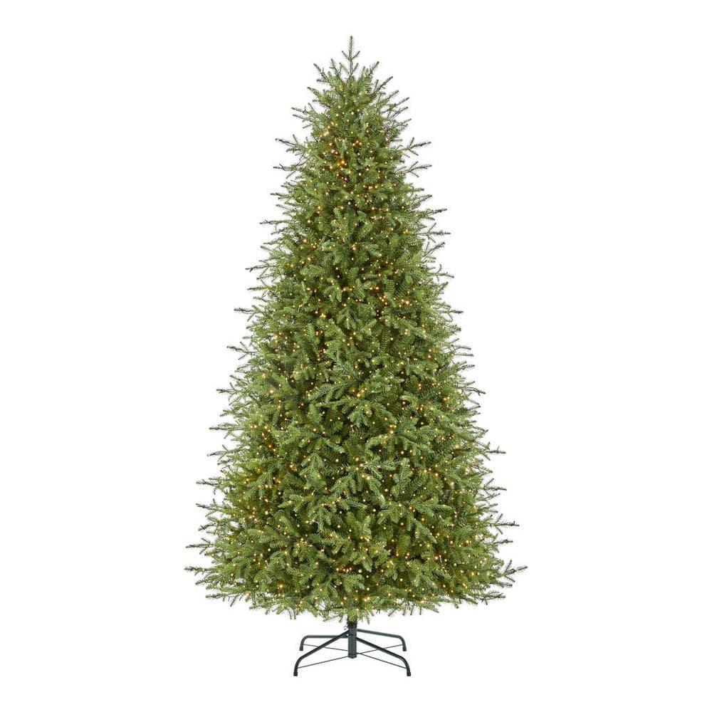 9 ft Grand Duchess Balsam Fir
