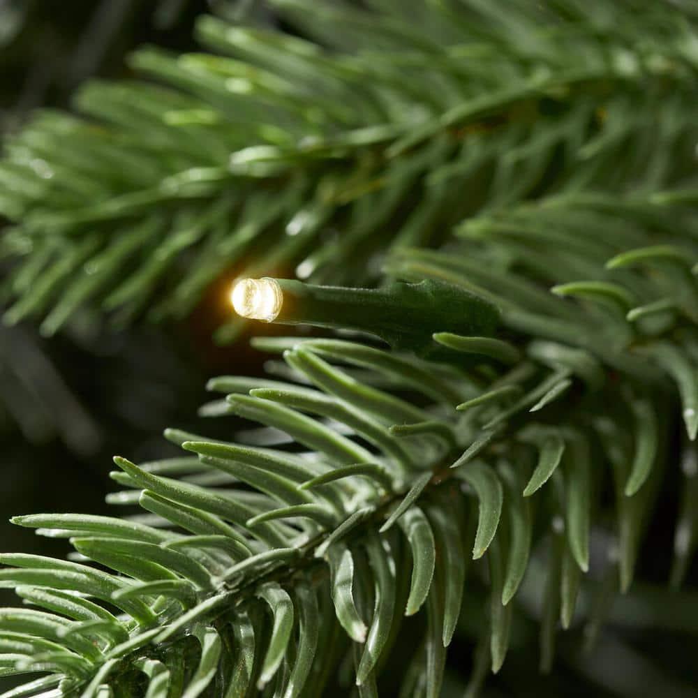9 ft. WestFir Christmas Tree