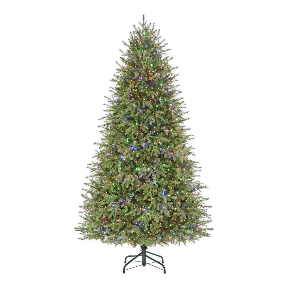 7.5 ft Grand Duchess Balsam Fir Christmas Tree