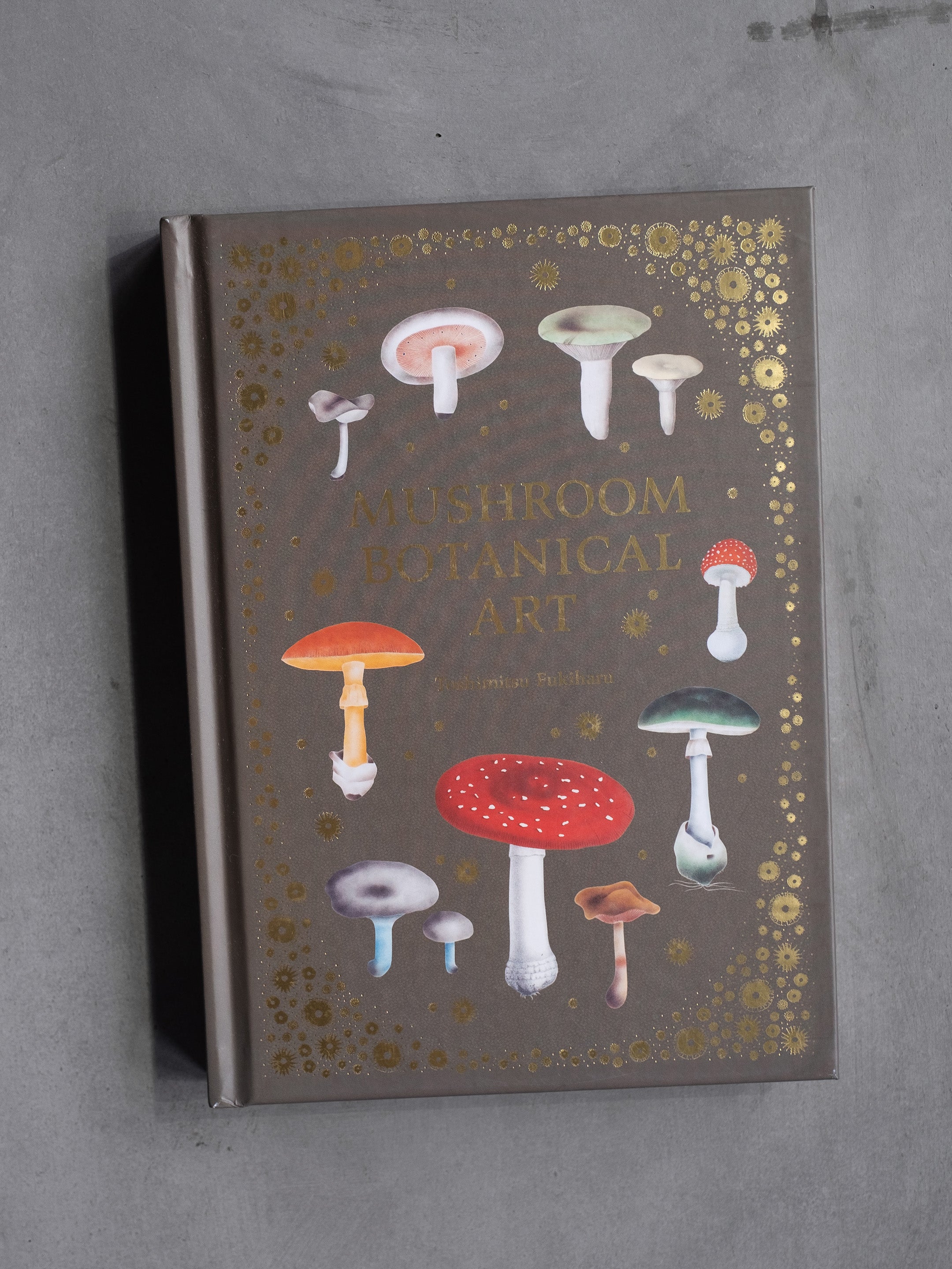 MUSHROOM BOTANICAL ART