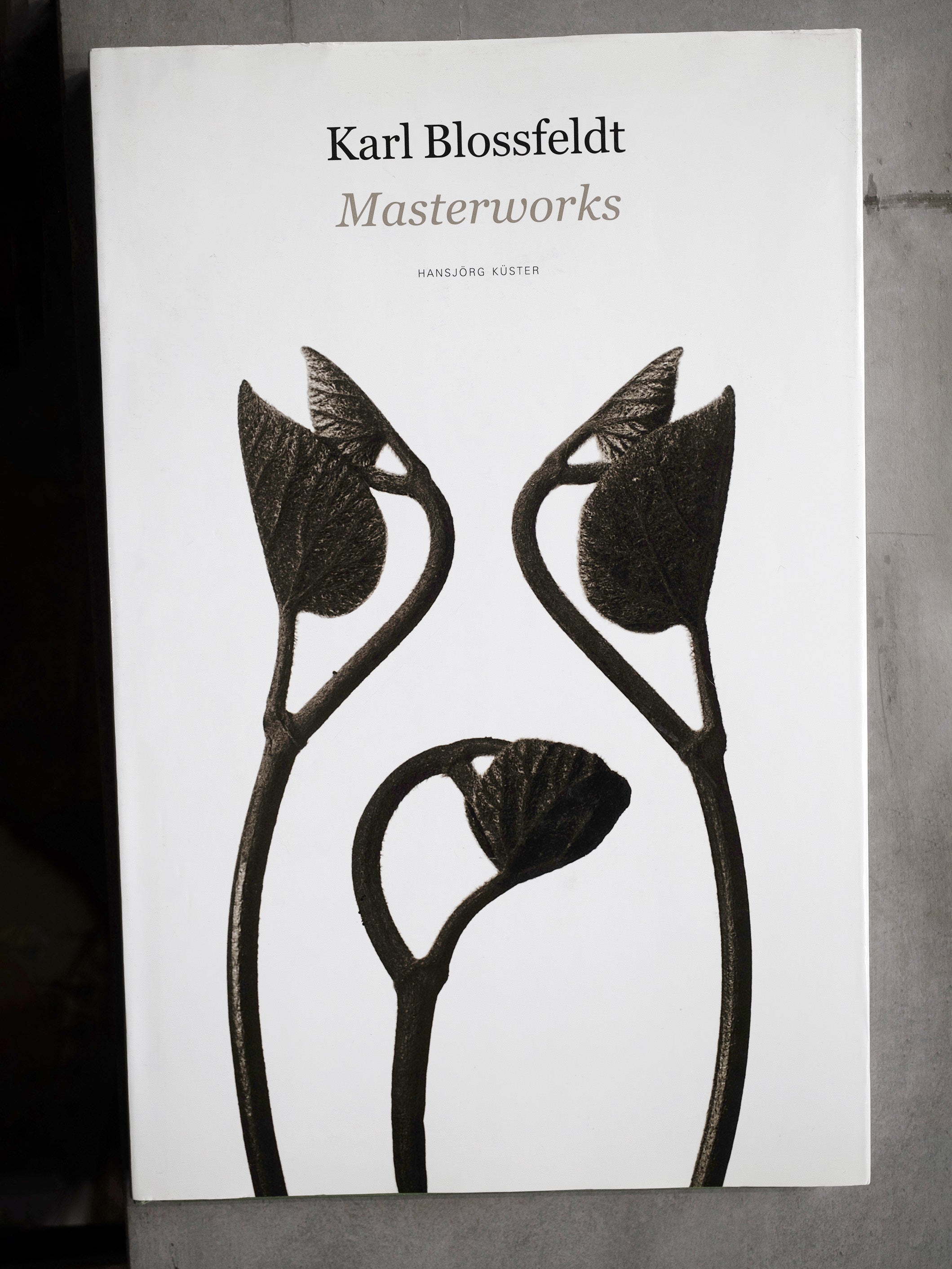 KARL BLOSSFELDT MASTERWORKS