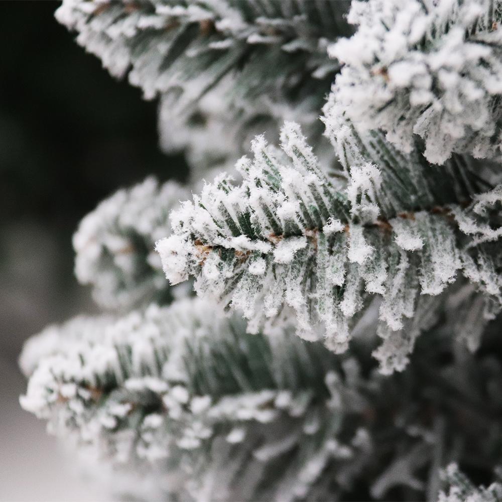 Abble Prelit Lighted Flocked White/Clear Spruce Artificial Christmas Tree 84", Green