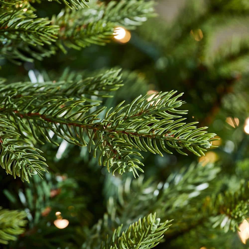 7.5 ft Eastcastle Balsam Fir