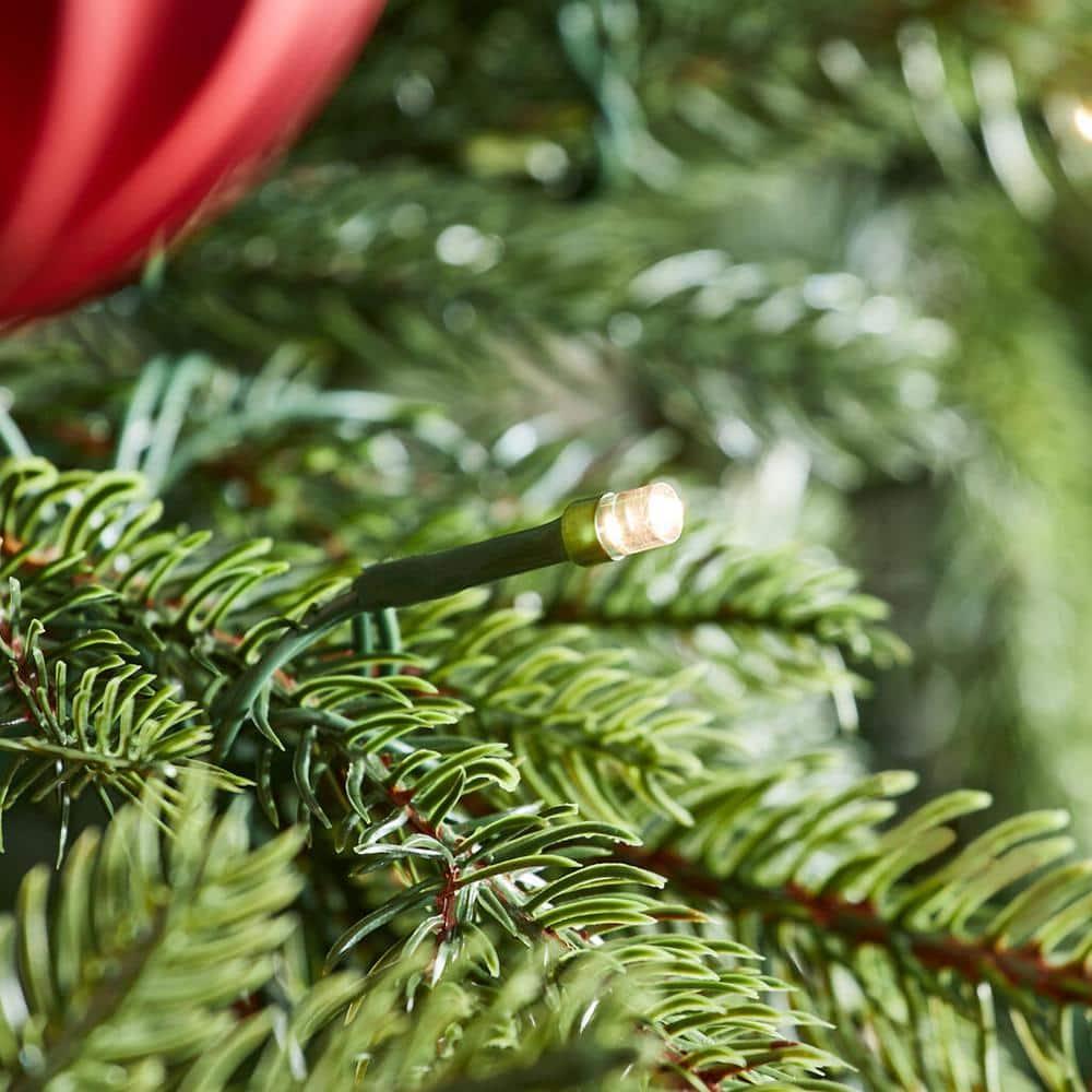 7.5 ft Eastcastle Balsam Fir