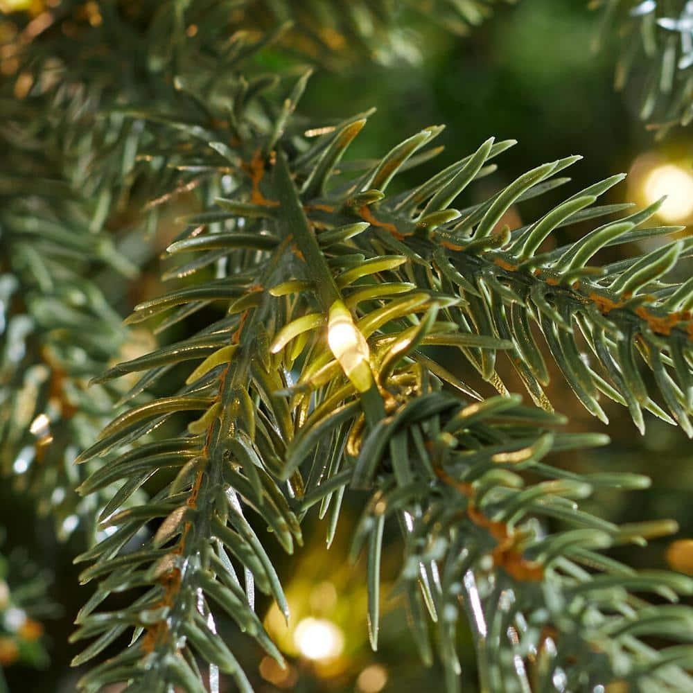 7.5 ft Jackson Noble Slim Christmas Tree