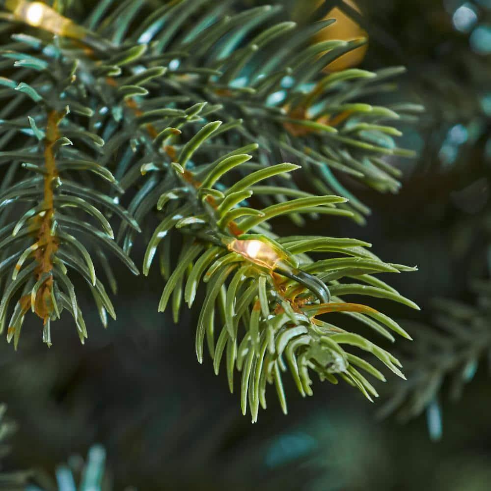9 ft Elegant Grand Fir Christmas Tree