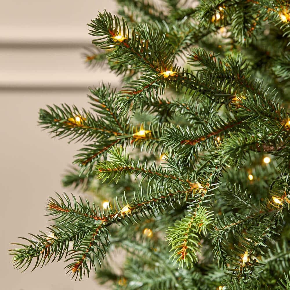 9 ft Elegant Grand Fir Christmas Tree