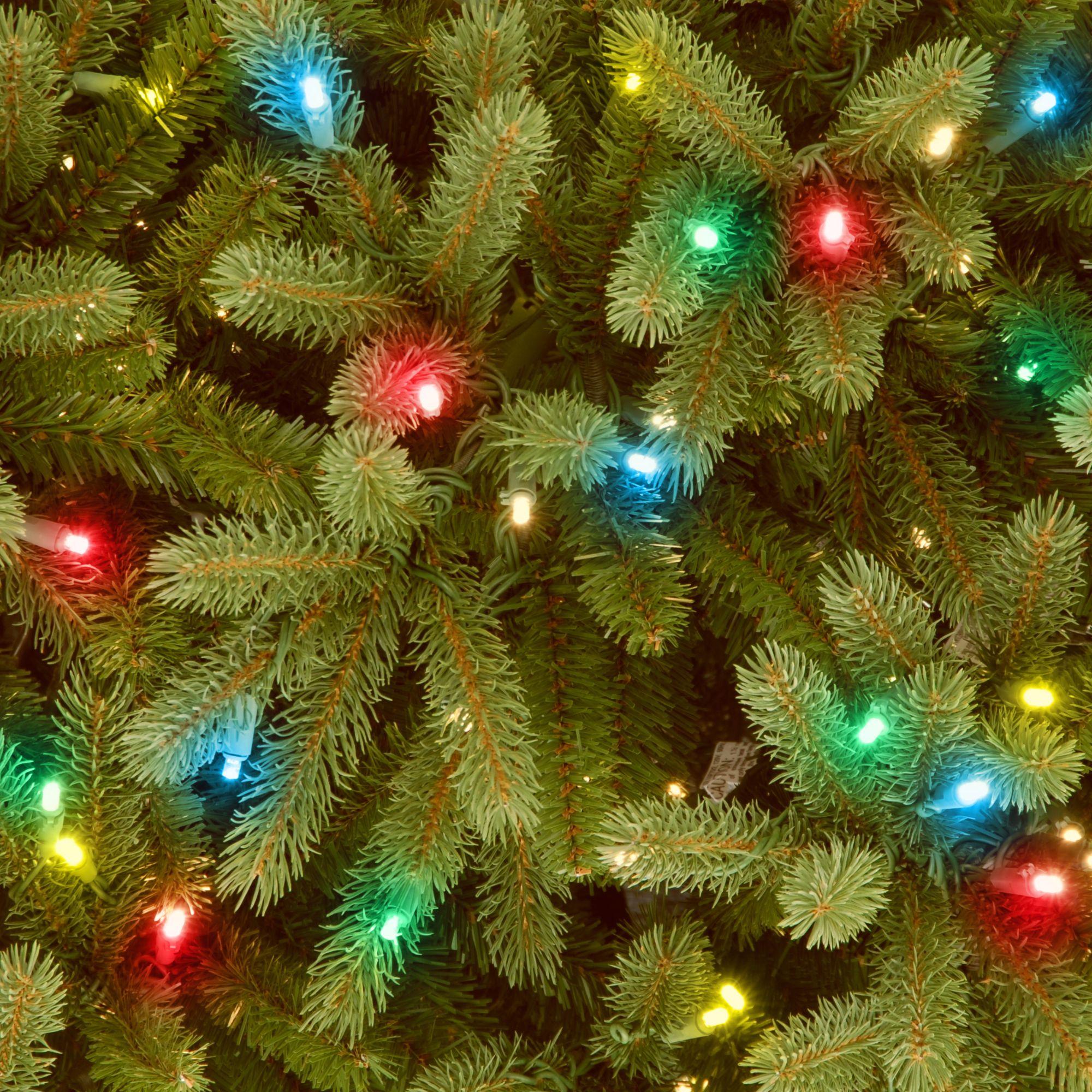 6.5? Pre-Lit Jersey Fraser Fir Artificial Christmas Tree - Multi-Color Lights